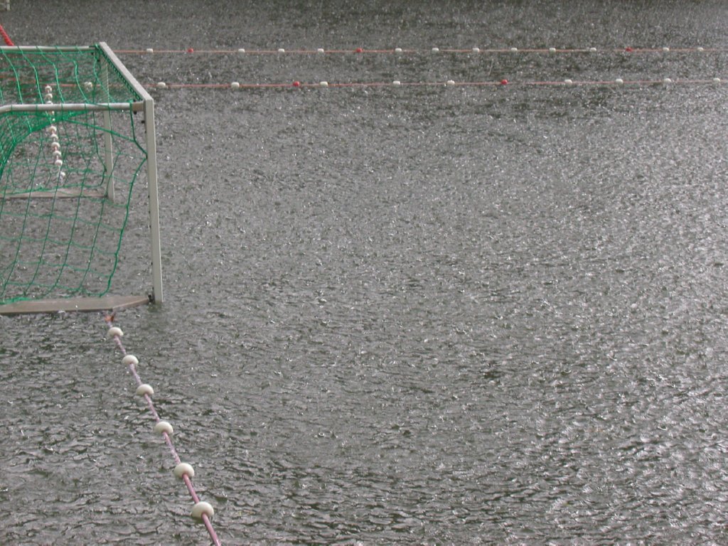 Beetje regen op zaterdag...
