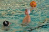 Bestandsnaam=ESC_5011.jpg
Bestandsgrootte=543KiB
Afmetingen = 1024x680
Datum toegevoegd = 13 feb 2012 ESC_5011.jpg