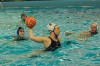 Bestandsnaam=ESC_5042.jpg
Bestandsgrootte=553KiB
Afmetingen = 1024x680
Datum toegevoegd = 13 feb 2012 ESC_5042.jpg
