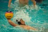 Bestandsnaam=ESC_4196.jpg
Bestandsgrootte=543KiB
Afmetingen = 1024x680
Datum toegevoegd = 1 dec 2013 ESC_4196.jpg