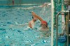 Bestandsnaam=ESC_8972.jpg
Bestandsgrootte=660KiB
Afmetingen = 1024x680
Datum toegevoegd = 11 okt 2014 ESC_8972.jpg