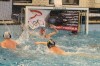 Bestandsnaam=IMG_2490.jpg
Bestandsgrootte=912KiB
Afmetingen = 1248x832
Datum toegevoegd = 1 mrt 2015 IMG_2490.jpg