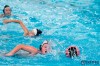 Bestandsnaam=ESC_3298.jpg
Bestandsgrootte=691KiB
Afmetingen = 1280x853
Datum toegevoegd = 3 okt 2016 ESC_3298.jpg