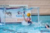 Bestandsnaam=ESC_3633.jpg
Bestandsgrootte=547KiB
Afmetingen = 1280x853
Datum toegevoegd = 10 okt 2016 ESC_3633.jpg