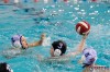 Bestandsnaam=ESC_5476.jpg
Bestandsgrootte=874KiB
Afmetingen = 1280x853
Datum toegevoegd = 8 nov 2016 ESC_5476.jpg