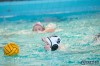Bestandsnaam=ESC_6779.jpg
Bestandsgrootte=726KiB
Afmetingen = 1280x853
Datum toegevoegd = 8 nov 2016 ESC_6779.jpg