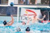Bestandsnaam=ESC_8706.jpg
Bestandsgrootte=757KiB
Afmetingen = 1280x853
Datum toegevoegd = 27 nov 2016 ESC_8706.jpg
