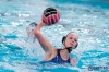 Bestandsnaam=ESC_8745.jpg
Bestandsgrootte=720KiB
Afmetingen = 1280x853
Datum toegevoegd = 27 nov 2016 ESC_8745.jpg