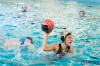 Bestandsnaam=ESC_0510.jpg
Bestandsgrootte=790KiB
Afmetingen = 1280x853
Datum toegevoegd = 5 feb 2017 ESC_0510.jpg
