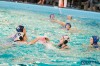 Bestandsnaam=ESC_0524.jpg
Bestandsgrootte=842KiB
Afmetingen = 1280x853
Datum toegevoegd = 5 feb 2017 ESC_0524.jpg