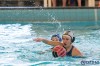Bestandsnaam=ESC_0534.jpg
Bestandsgrootte=677KiB
Afmetingen = 1280x853
Datum toegevoegd = 5 feb 2017 ESC_0534.jpg