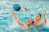 Bestandsnaam=ESC_0737.jpg
Bestandsgrootte=801KiB
Afmetingen = 1280x853
Datum toegevoegd = 5 feb 2017 ESC_0737.jpg