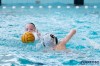 Bestandsnaam=ESC_3880.jpg
Bestandsgrootte=690KiB
Afmetingen = 1280x853
Datum toegevoegd = 2 apr 2017 ESC_3880.jpg