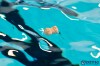 Bestandsnaam=ESC_4701.jpg
Bestandsgrootte=502KiB
Afmetingen = 1280x853
Datum toegevoegd = 10 apr 2017 ESC_4701.jpg