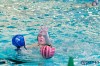 Bestandsnaam=ESC_9151.jpg
Bestandsgrootte=914KiB
Afmetingen = 1280x853
Datum toegevoegd = 23 jan 2017 ESC_9151.jpg