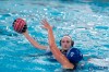 Bestandsnaam=ESC_9614.jpg
Bestandsgrootte=823KiB
Afmetingen = 1280x853
Datum toegevoegd = 29 jan 2017 ESC_9614.jpg