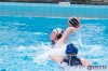 Bestandsnaam=ESC_9647.jpg
Bestandsgrootte=857KiB
Afmetingen = 1280x853
Datum toegevoegd = 29 jan 2017 ESC_9647.jpg