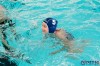 Bestandsnaam=ESC_3895.jpg
Bestandsgrootte=1169KiB
Afmetingen = 1280x853
Datum toegevoegd = 20 mrt 2019 ESC_3895.jpg