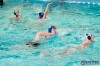Bestandsnaam=ESC_3904.jpg
Bestandsgrootte=1113KiB
Afmetingen = 1280x853
Datum toegevoegd = 20 mrt 2019 ESC_3904.jpg