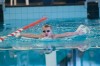 Bestandsnaam=ESC_0692.jpg
Bestandsgrootte=1149KiB
Afmetingen = 1280x850
Datum toegevoegd = 21 dec 2015 ESC_0692.jpg