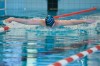 Bestandsnaam=ESC_0802.jpg
Bestandsgrootte=1059KiB
Afmetingen = 1280x850
Datum toegevoegd = 21 dec 2015 ESC_0802.jpg