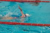 Bestandsnaam=ESC_0916.jpg
Bestandsgrootte=1449KiB
Afmetingen = 1280x850
Datum toegevoegd = 21 dec 2015 ESC_0916.jpg