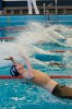 Bestandsnaam=ESC_0973.jpg
Bestandsgrootte=1045KiB
Afmetingen = 850x1280
Datum toegevoegd = 21 dec 2015 ESC_0973.jpg