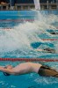 Bestandsnaam=ESC_0974.jpg
Bestandsgrootte=1070KiB
Afmetingen = 850x1280
Datum toegevoegd = 21 dec 2015 ESC_0974.jpg