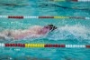 Bestandsnaam=ESC_1002.jpg
Bestandsgrootte=1397KiB
Afmetingen = 1280x850
Datum toegevoegd = 21 dec 2015 ESC_1002.jpg