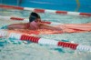 Bestandsnaam=ESC_1093.jpg
Bestandsgrootte=1015KiB
Afmetingen = 1280x850
Datum toegevoegd = 21 dec 2015 ESC_1093.jpg