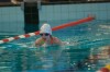 Bestandsnaam=ESC_1304.jpg
Bestandsgrootte=946KiB
Afmetingen = 1280x850
Datum toegevoegd = 21 dec 2015 ESC_1304.jpg