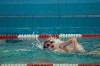 Bestandsnaam=ESC_1391.jpg
Bestandsgrootte=1098KiB
Afmetingen = 1280x850
Datum toegevoegd = 21 dec 2015 ESC_1391.jpg