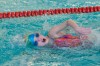 Bestandsnaam=ESC_1444.jpg
Bestandsgrootte=1241KiB
Afmetingen = 1280x850
Datum toegevoegd = 21 dec 2015 ESC_1444.jpg