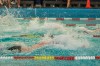 Bestandsnaam=ESC_1546.jpg
Bestandsgrootte=1154KiB
Afmetingen = 1280x850
Datum toegevoegd = 21 dec 2015 ESC_1546.jpg