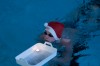 Bestandsnaam=ESC_1555.jpg
Bestandsgrootte=896KiB
Afmetingen = 1280x850
Datum toegevoegd = 21 dec 2015 ESC_1555.jpg