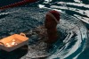 Bestandsnaam=ESC_1572.jpg
Bestandsgrootte=1036KiB
Afmetingen = 1280x850
Datum toegevoegd = 21 dec 2015 ESC_1572.jpg