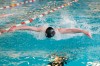 Bestandsnaam=ESC_4741.jpg
Bestandsgrootte=909KiB
Afmetingen = 1280x850
Datum toegevoegd = 18 apr 2016 ESC_4741.jpg