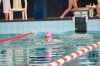 Bestandsnaam=ESC_4837.jpg
Bestandsgrootte=682KiB
Afmetingen = 1280x850
Datum toegevoegd = 18 apr 2016 ESC_4837.jpg