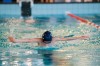 Bestandsnaam=ESC_5056.jpg
Bestandsgrootte=679KiB
Afmetingen = 1280x850
Datum toegevoegd = 18 apr 2016 ESC_5056.jpg