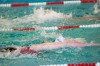 Bestandsnaam=ESC_5098.jpg
Bestandsgrootte=673KiB
Afmetingen = 1280x850
Datum toegevoegd = 18 apr 2016 ESC_5098.jpg