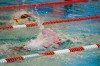Bestandsnaam=ESC_5104.jpg
Bestandsgrootte=727KiB
Afmetingen = 1280x850
Datum toegevoegd = 18 apr 2016 ESC_5104.jpg