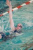 Bestandsnaam=ESC_5166.jpg
Bestandsgrootte=660KiB
Afmetingen = 850x1280
Datum toegevoegd = 18 apr 2016 ESC_5166.jpg