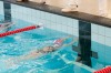 Bestandsnaam=ESC_5436.jpg
Bestandsgrootte=736KiB
Afmetingen = 1280x850
Datum toegevoegd = 18 apr 2016 ESC_5436.jpg