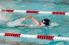 Bestandsnaam=ESC_5530.jpg
Bestandsgrootte=727KiB
Afmetingen = 1280x850
Datum toegevoegd = 18 apr 2016 ESC_5530.jpg