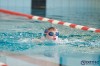 Bestandsnaam=ESC_6029.jpg
Bestandsgrootte=671KiB
Afmetingen = 1280x853
Datum toegevoegd = 26 jun 2019 ESC_6029.jpg